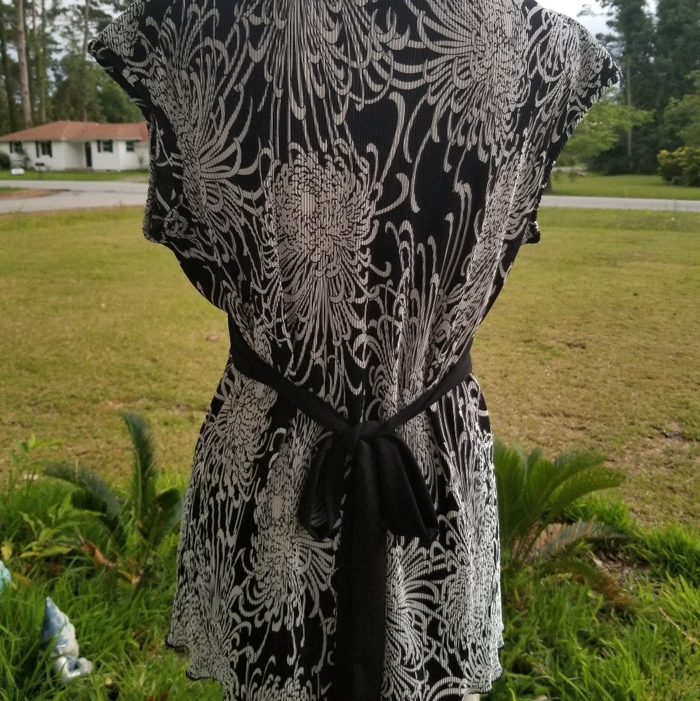 3/$15๐HOST-PICK๐ Super Cute Cato Top! - Picture 2 of 5